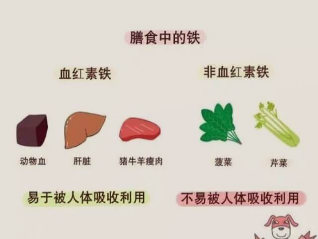六个月第三代助孕宝宝需要补什么
